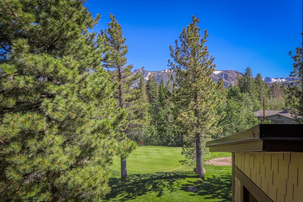 Mammoth Green Condos Mammoth Lakes Extérieur photo